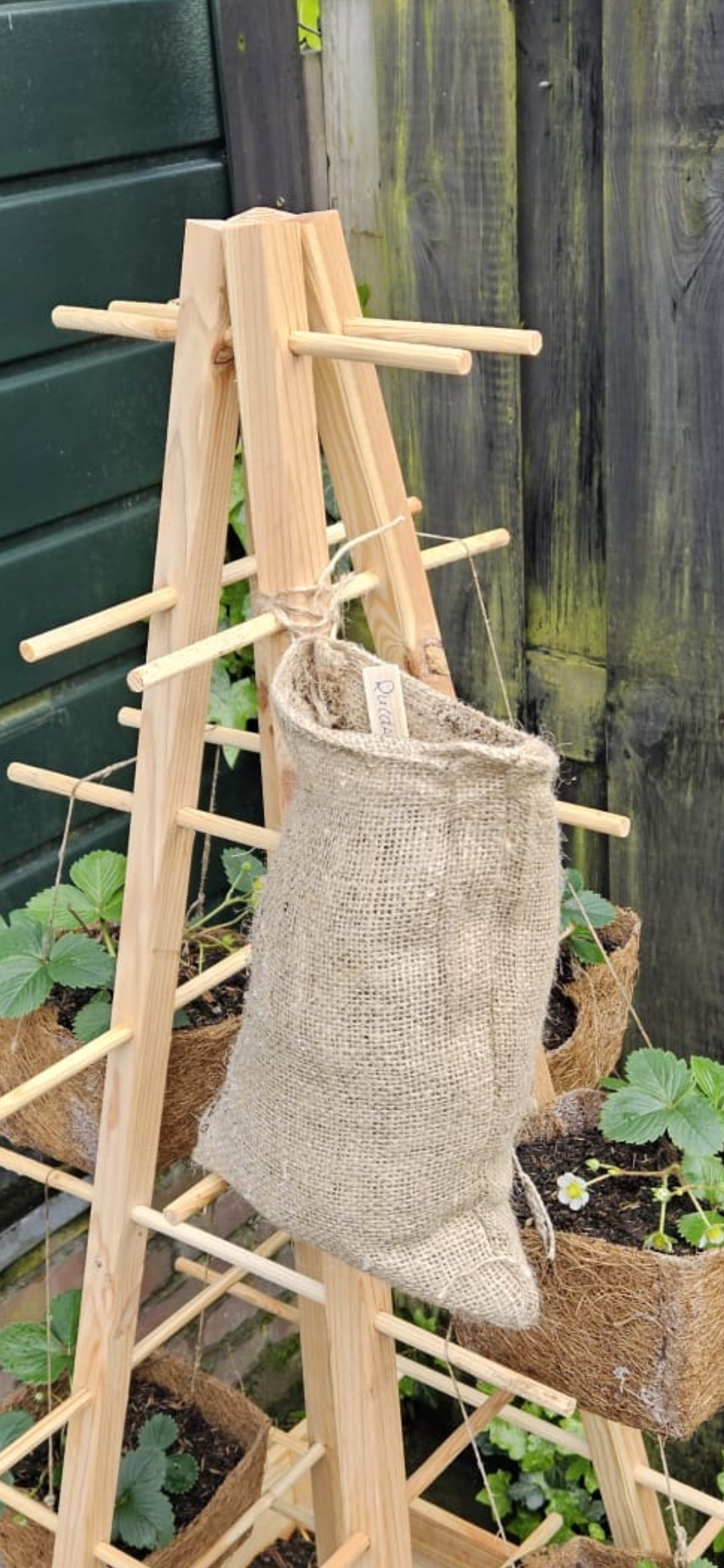 Jute zakken met sluitkoord 20 x 30 cm (per stuk) gebruik: Jute zakken met sluitkoord 20 x 30 cm (per stuk)